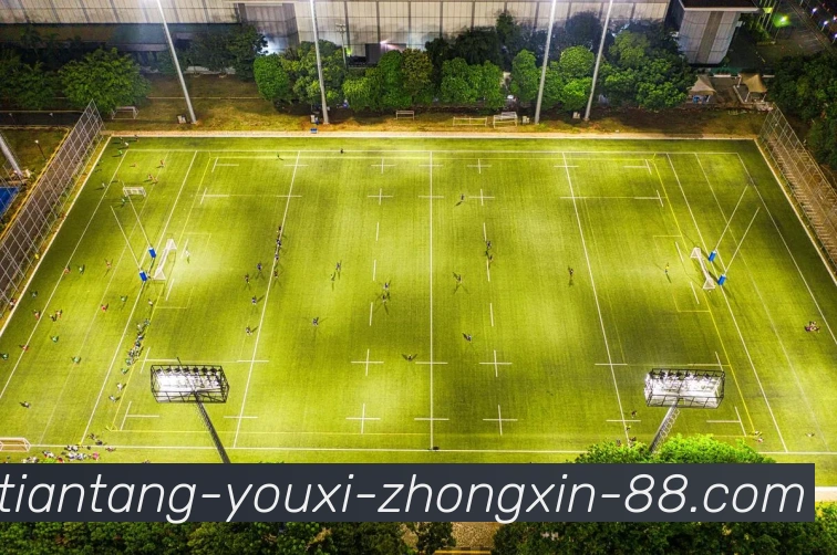 奖项图1